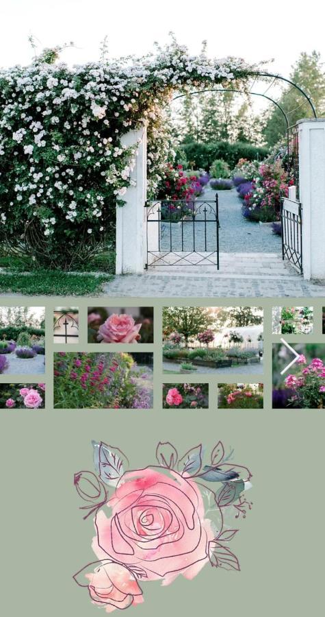 Ferienwohnung Schuhmann Mit Wintergarten Und Garten Therme Aquapulco Und Ikuna Erlebnispark, Zoo Schmiding 20 Min Mit Auto Entfernt Ab 3 Naechte Buchbar Hinzenbach Ngoại thất bức ảnh